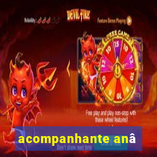 acompanhante anâ