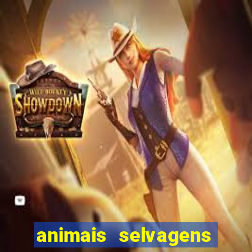 animais selvagens fotos e nomes