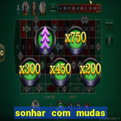 sonhar com mudas de plantas