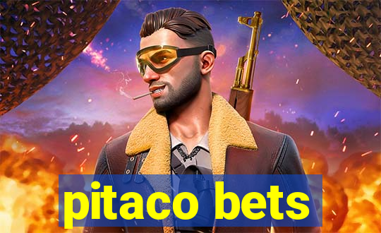 pitaco bets