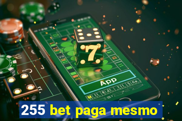 255 bet paga mesmo