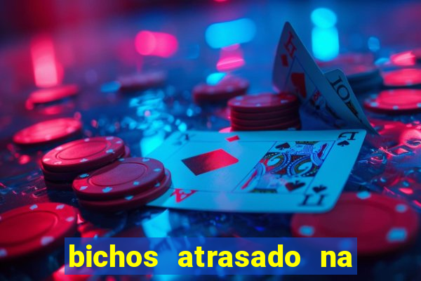 bichos atrasado na loteria dos sonhos