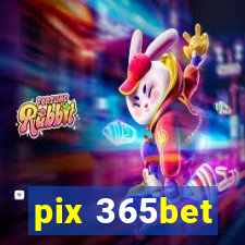 pix 365bet
