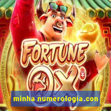 minha numerologia.con