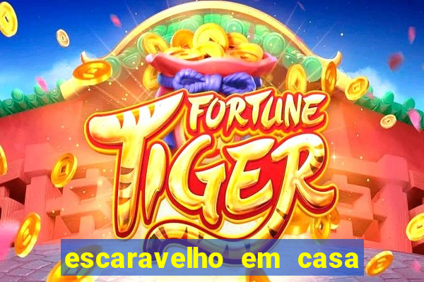 escaravelho em casa significado espiritual